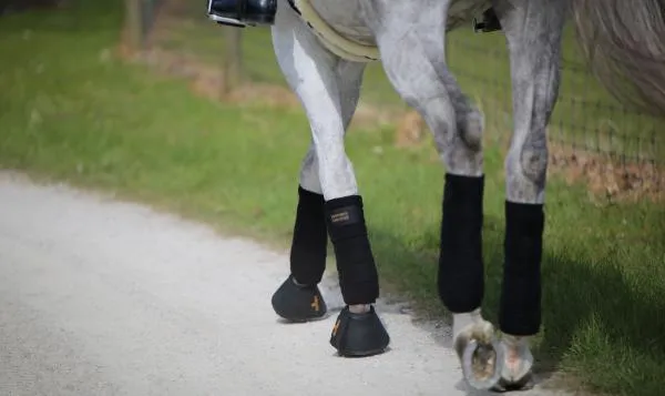 Leather Overreach Boots